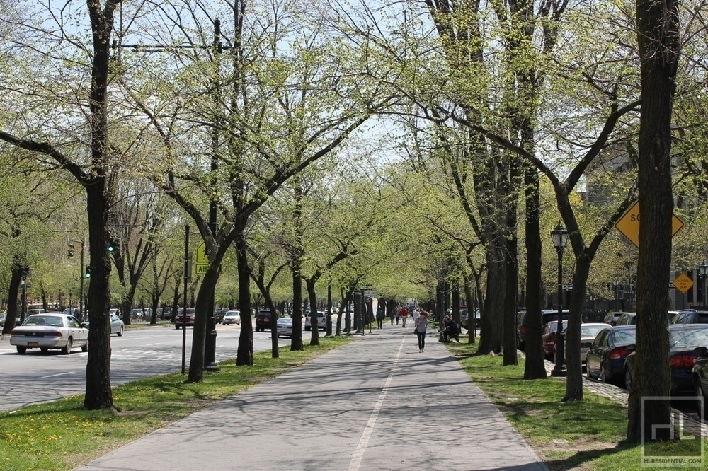 Eastern Parkway - Photo 5