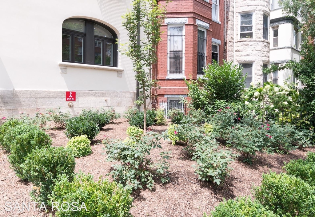 1712 17th Street, Nw - Photo 19