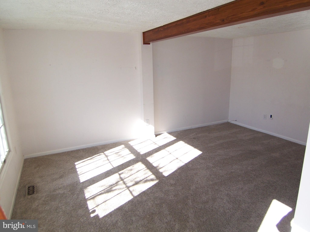 3411 Tree Frog Court - Photo 5