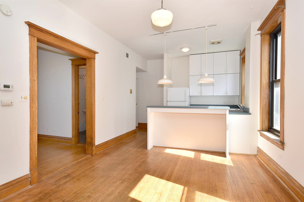 3352 North Halsted Street - Photo 3