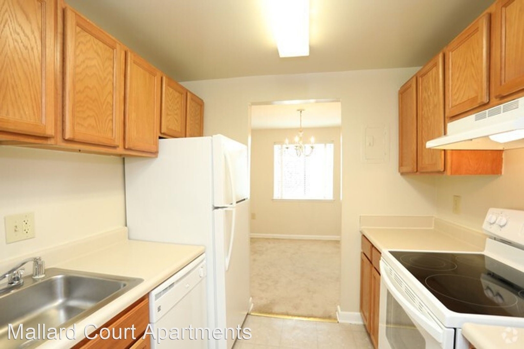 4511 Colony Ct Suite #1203-b - Photo 0