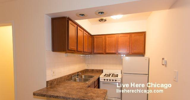 540 W Roscoe St - Photo 0