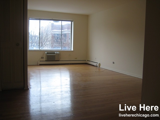 540 W Roscoe St - Photo 5