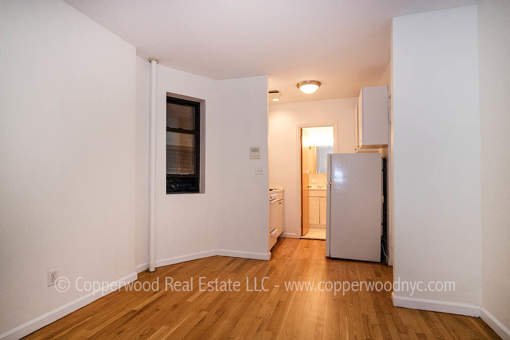 231 East 96 street - Photo 5