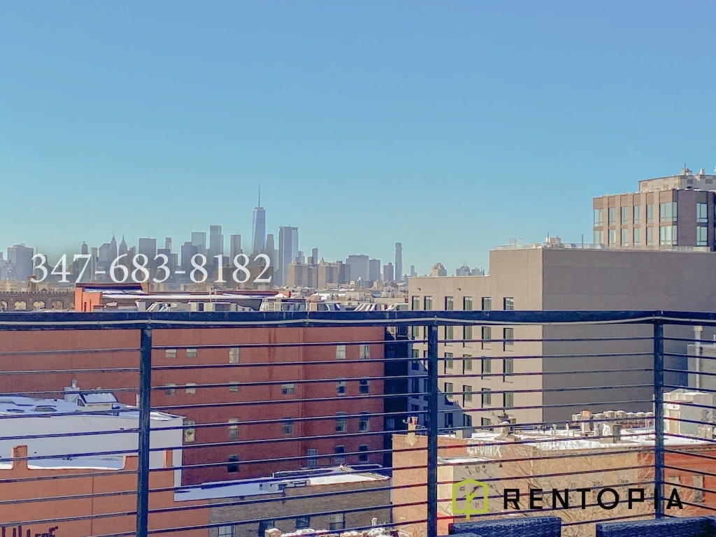 810 Flushing Avenue - Photo 10