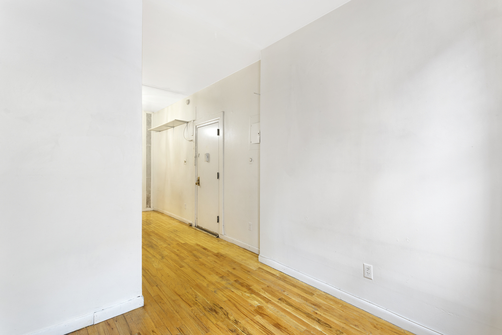 344 East 9th Street - Photo 3