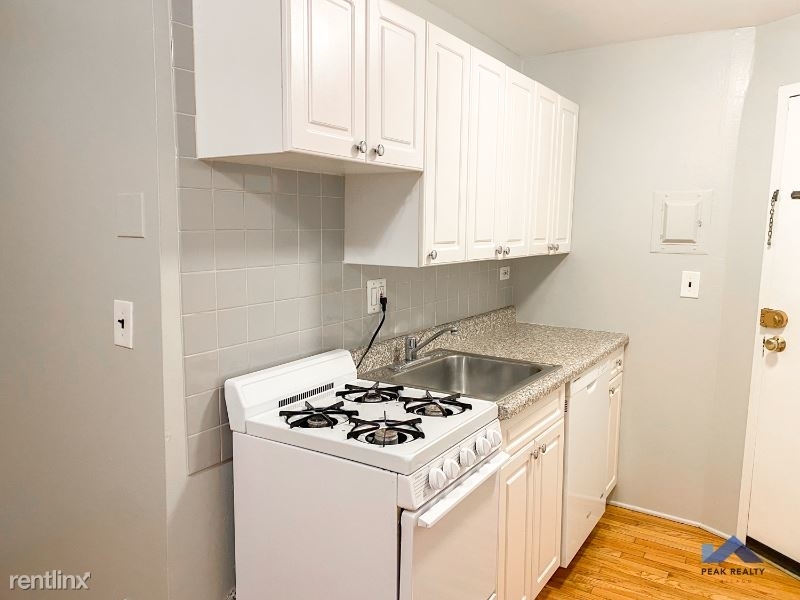 959 W Webster Ave 4f - Photo 1