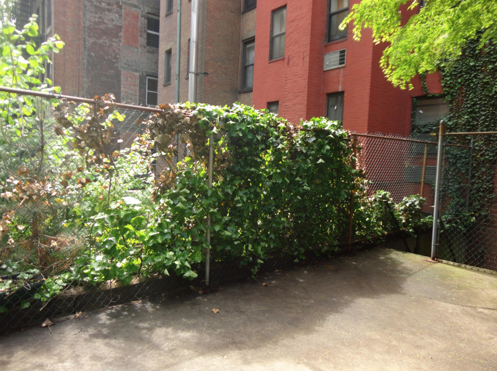 East 85th Street - Photo 5