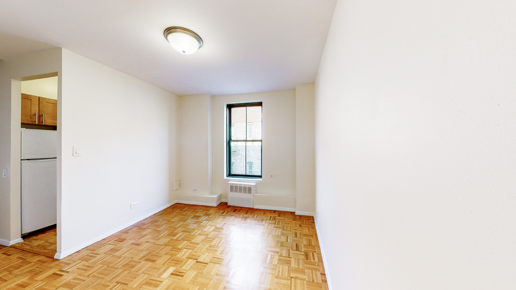 527 East 78th Street - Photo 1