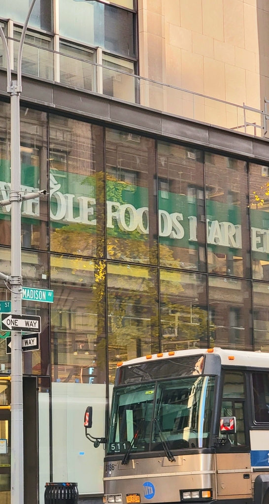 Madison Square Park - Photo 8