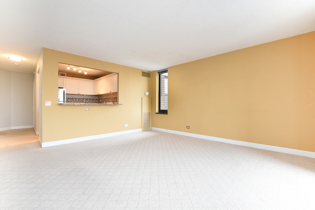 3660 North Lake Shore Drive - Photo 9