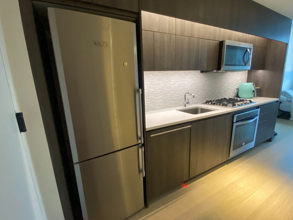 525 West 52nd Street - Photo 4