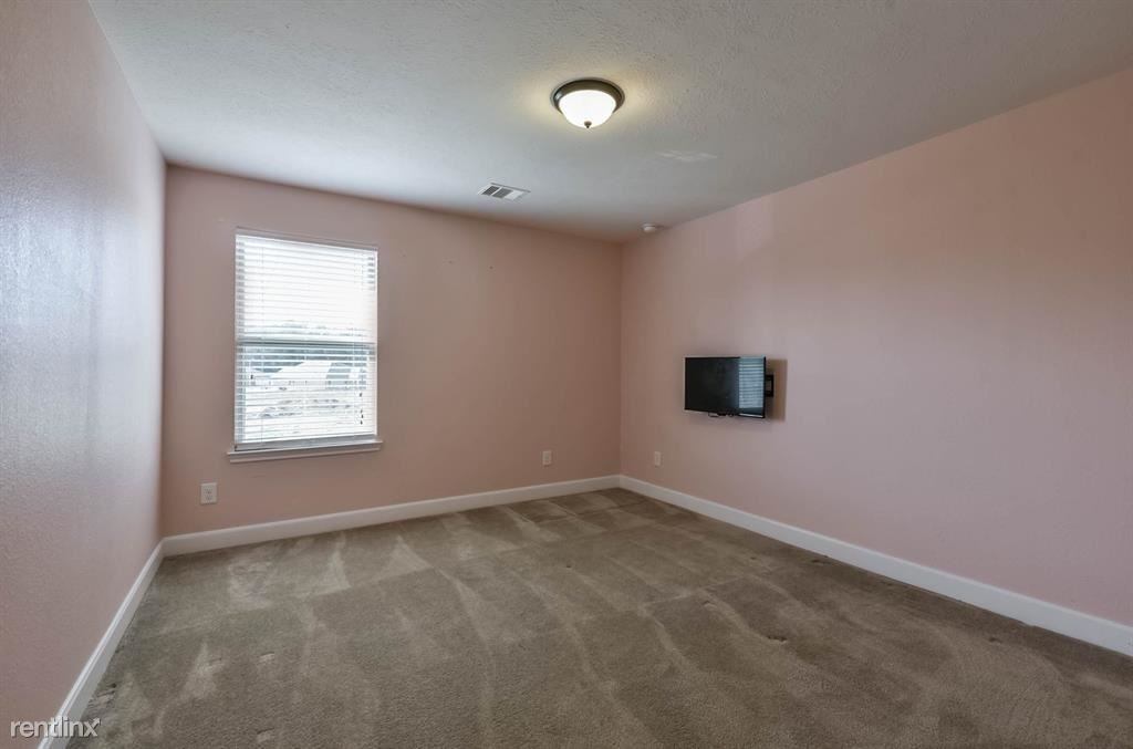 10111 Cimarron Canyon Lane - Photo 14