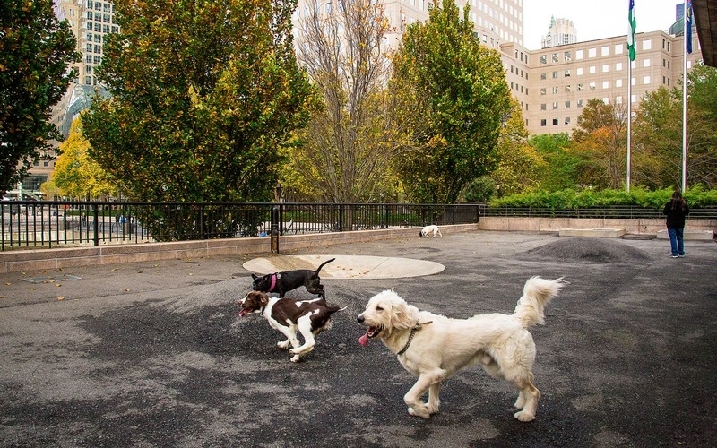 Battery Park City - Photo 13