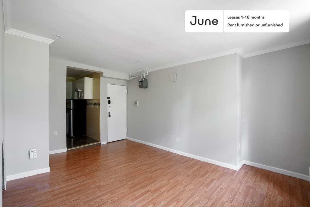 534 East 14th Street - Photo 3