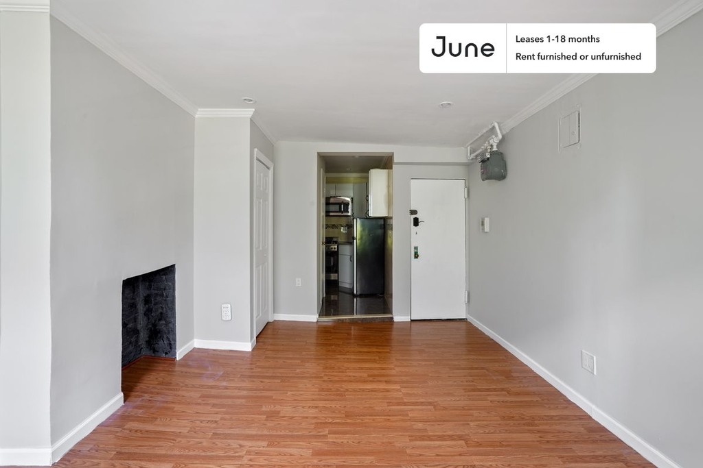 534 East 14th Street - Photo 5