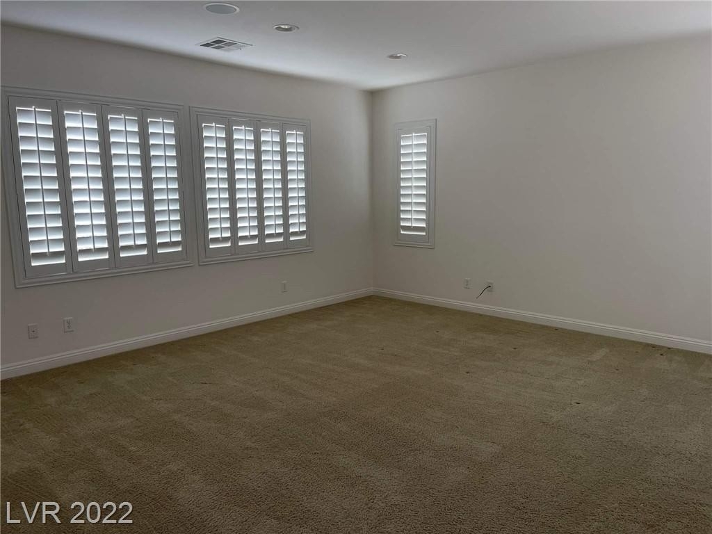 11320 Corsica Mist Avenue - Photo 23