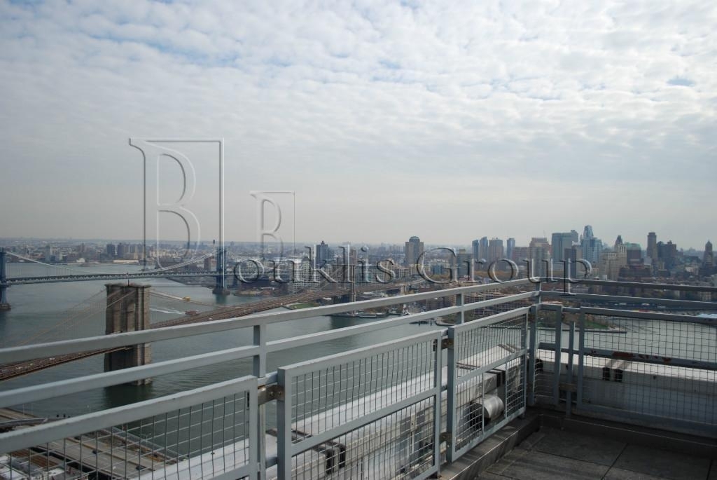 Convertible 3 bedroom with East River Views - Photo 4