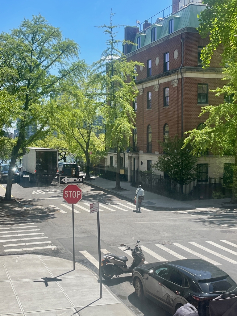 20 Beekman Place - Photo 5