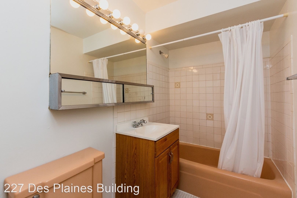 227 Des Plaines Ave - Photo 8