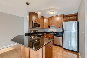 33 E Cedar Street - Photo 3