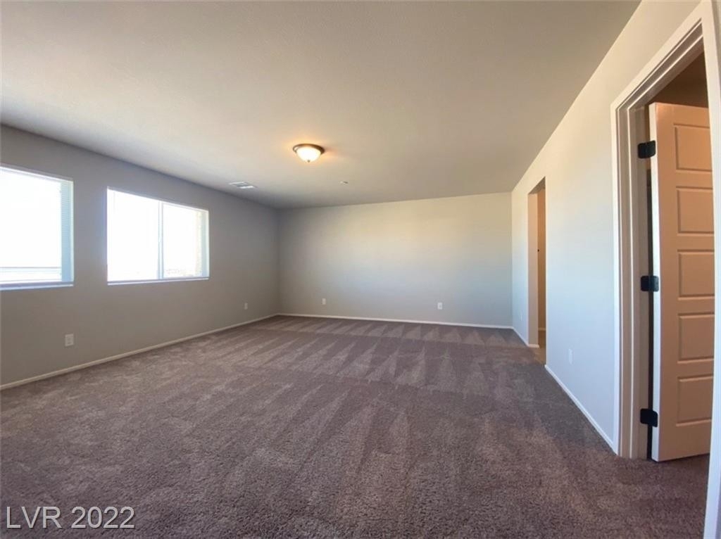 4451 Sapphire Moon Avenue - Photo 20