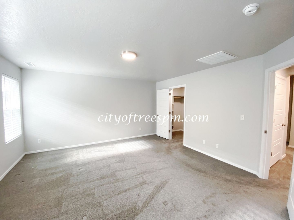 11902 W Box Canyon - Photo 10