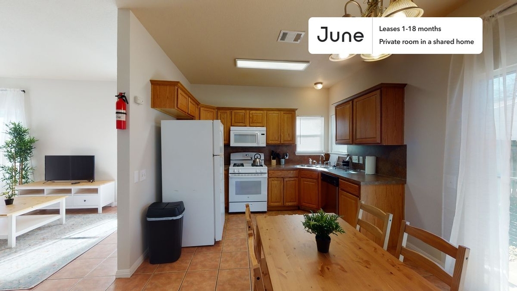 1604 Singleton Avenue - Photo 12