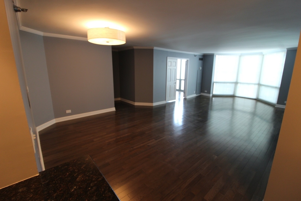 195 N Harbor Drive - Photo 1