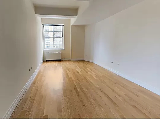 Bright and Spacious  Studio in Lower Manhattan - Photo 1