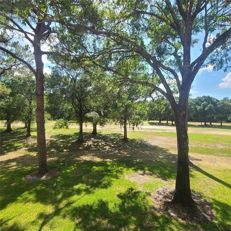 3505 Tarpon Woods Boulevard - Photo 2