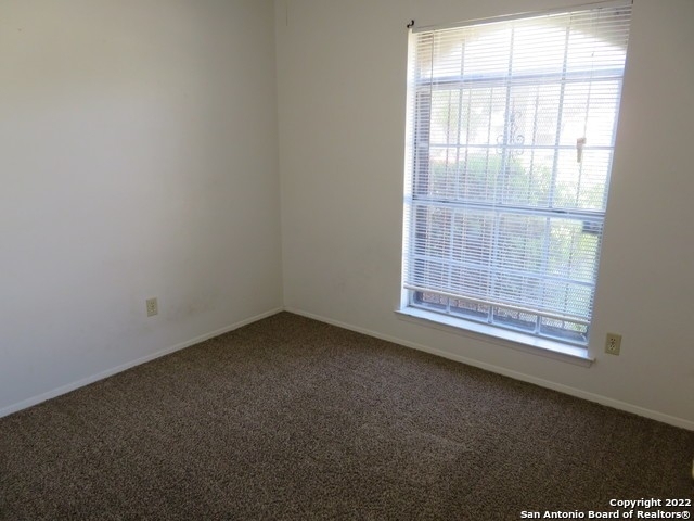 8203 Meadow Swan St - Photo 13