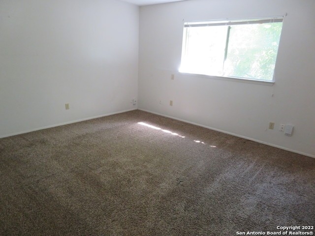 8203 Meadow Swan St - Photo 15