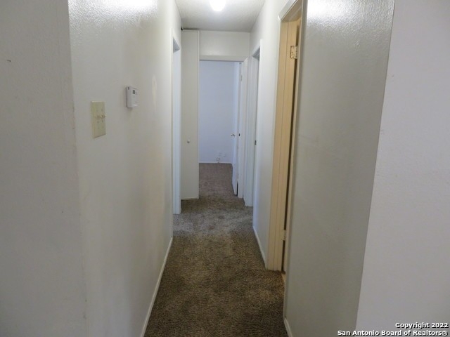 8203 Meadow Swan St - Photo 11