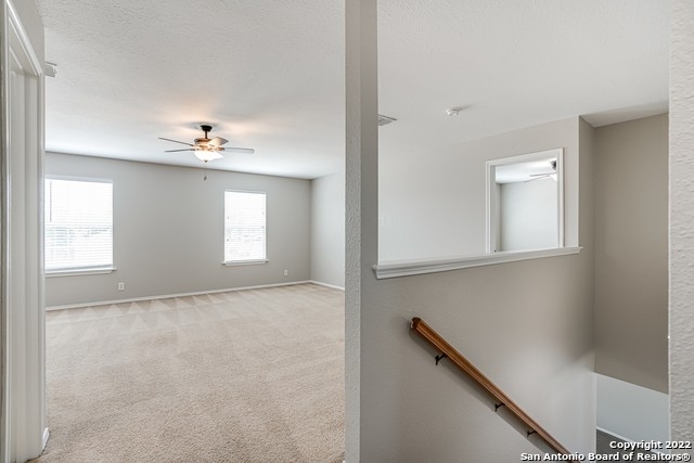 24603 Maple Crest - Photo 18