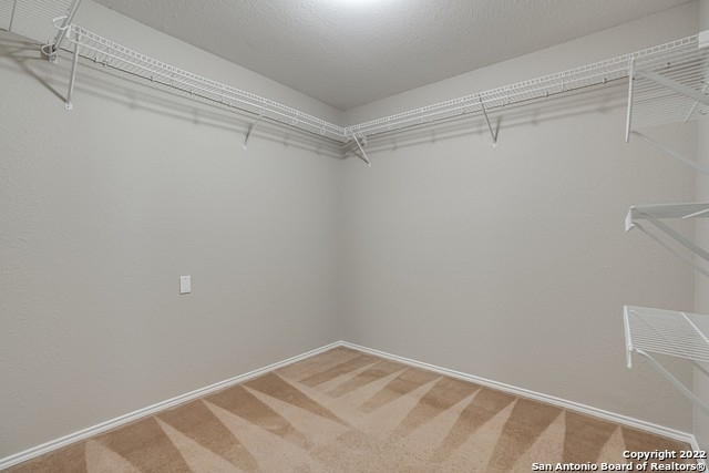 24603 Maple Crest - Photo 26