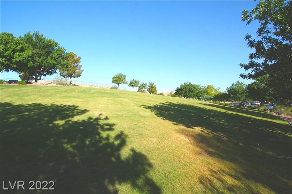 10764 Valencia Hills Street - Photo 45