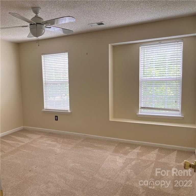 9710 Elizabeth Townes Lane - Photo 14