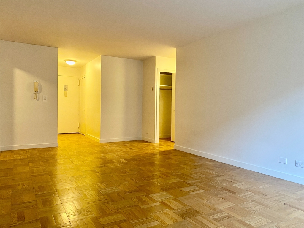 333 East 49th Street - Photo 5