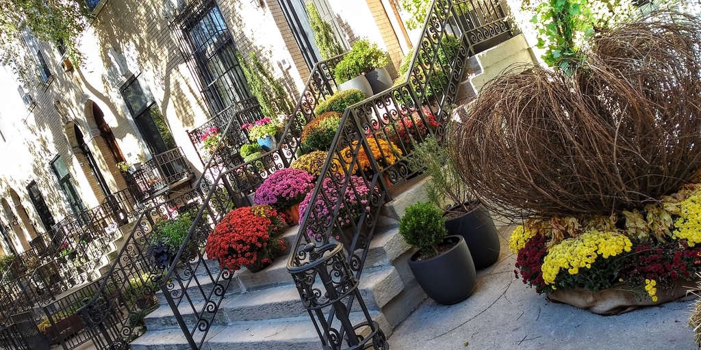 218 West 138th Street - Photo 1