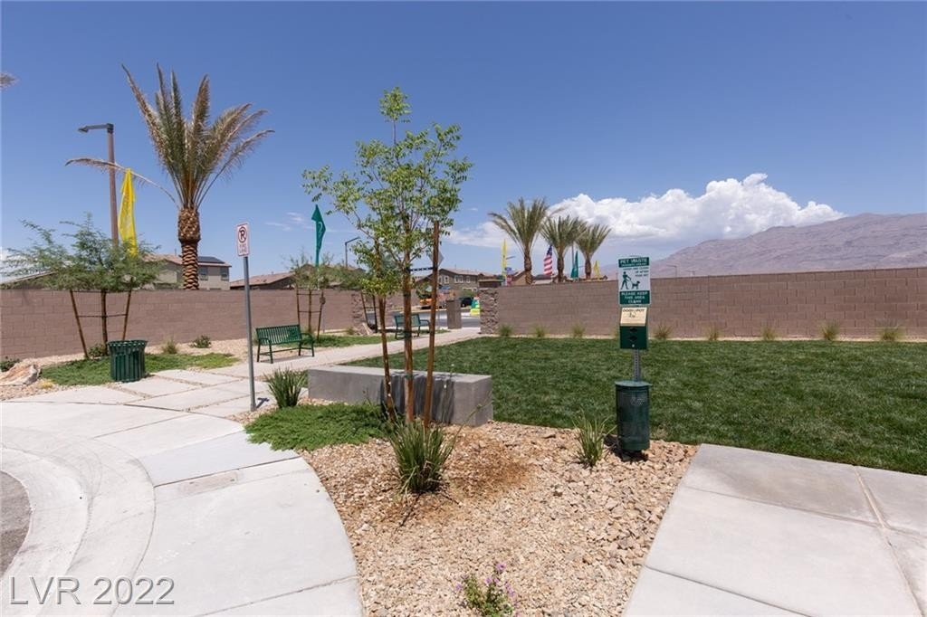 4126 Lunar Canyon Avenue - Photo 21