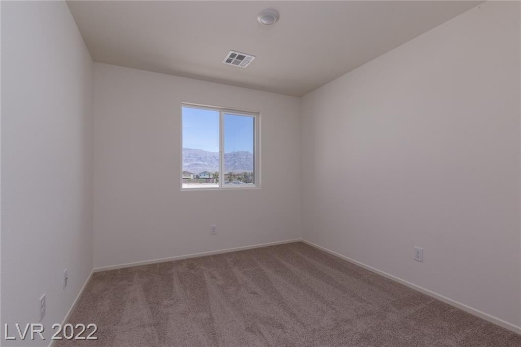 4126 Lunar Canyon Avenue - Photo 11