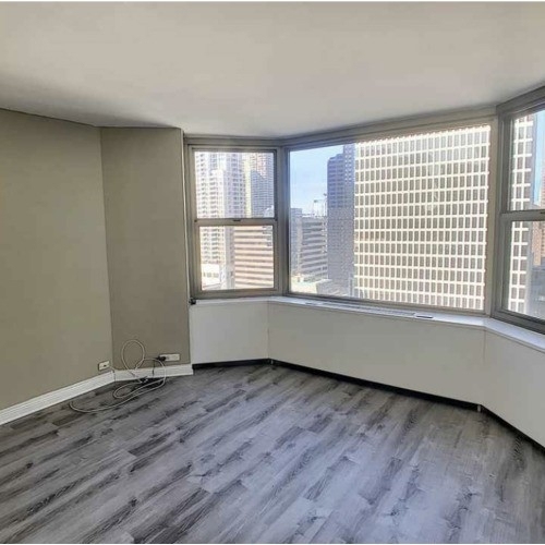 535 N Michigan Avenue - Photo 1