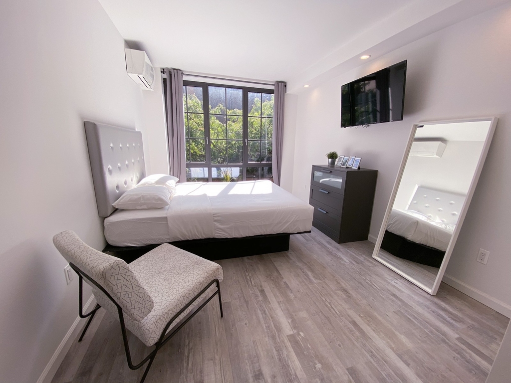 433 West 53rd Street - Photo 4