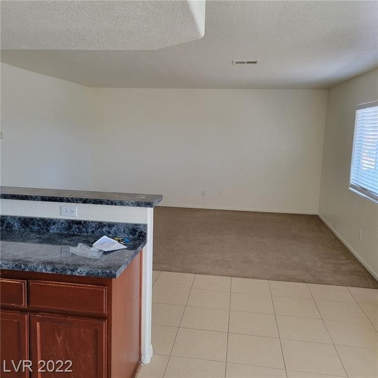 2225 James Bilbray Drive - Photo 2