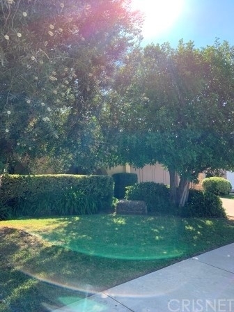 29028 Old Carriage Court - Photo 1