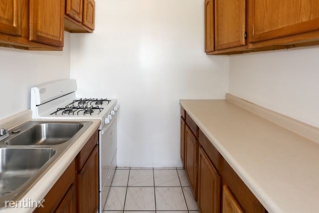 4851 N. Damen, Unit 102 - Photo 2