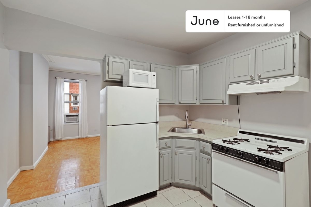 306 East 83rd Street - Photo 1