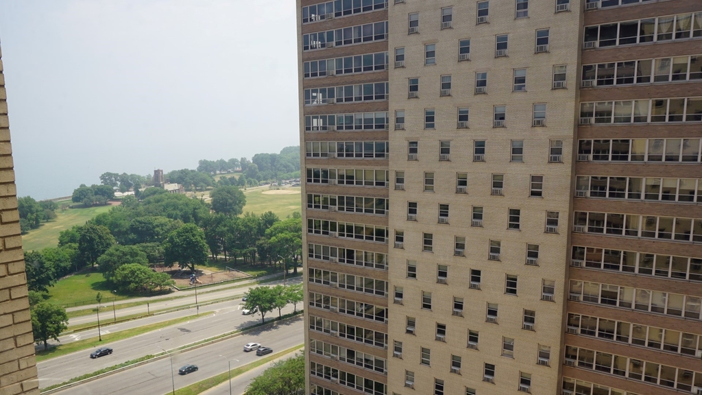 3950 N Lake Shore Drive - Photo 9