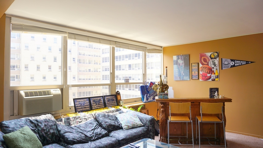 3950 N Lake Shore Drive - Photo 1